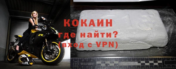 дмт Краснослободск