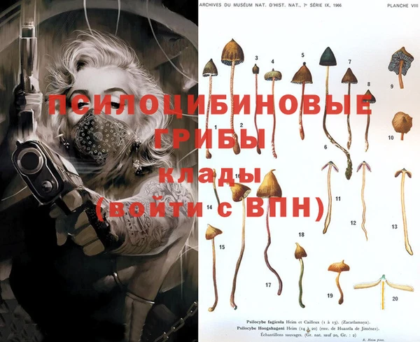 дмт Абдулино