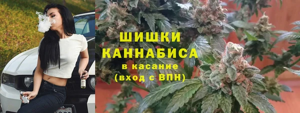 a pvp Абаза
