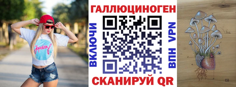 Псилоцибиновые грибы Psilocybe  Новосибирск 